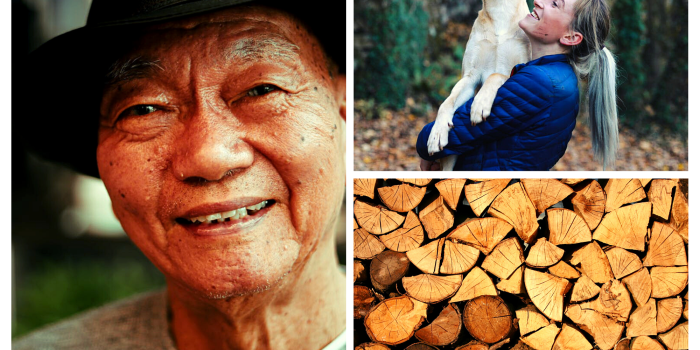 collage oudere man, vrouw met hond en houtstapel