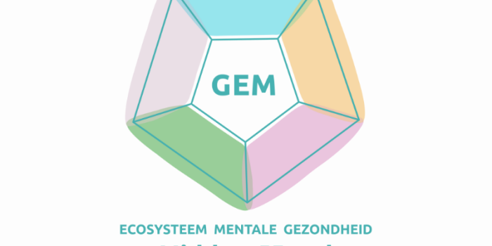 Logo GEM Midden-IJssel