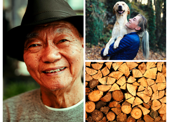 collage oudere man, vrouw met hond en houtstapel